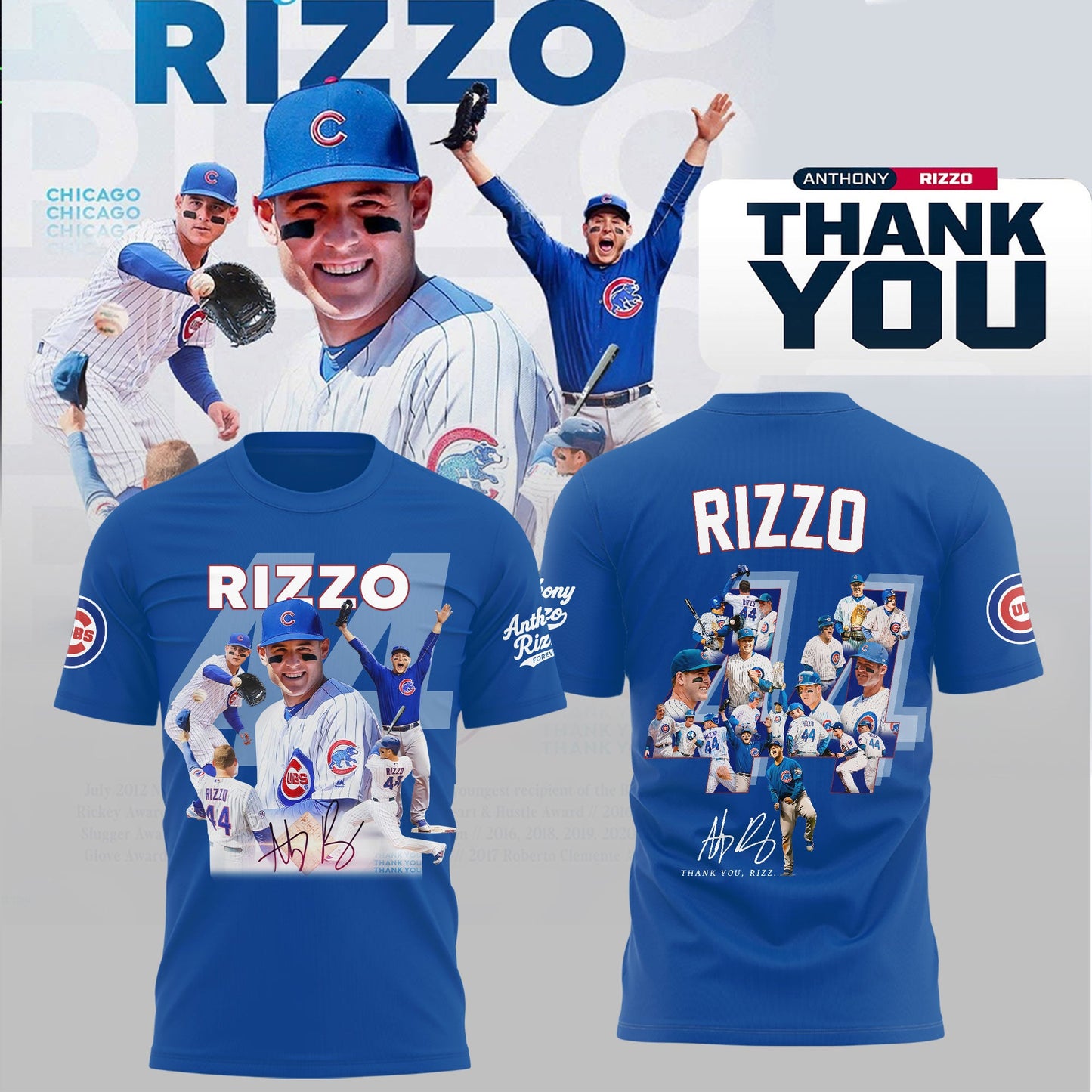 Chicago Cubs Legend Anthony Rizzo Thank You For Memories T-Shirt
