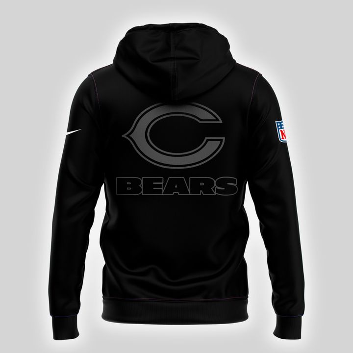 Chicago Bears NFL 2025 New Pullover Hoodie