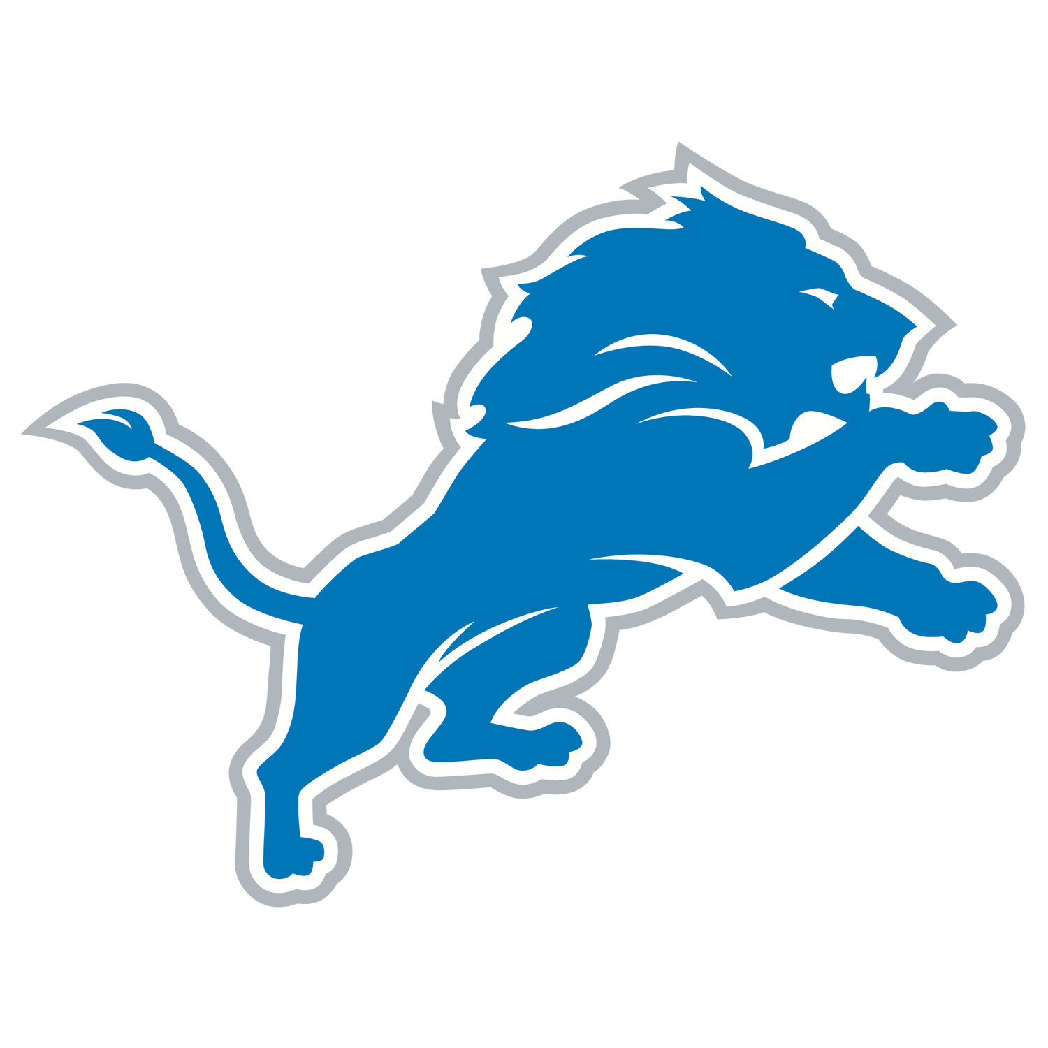DETROIT LIONS