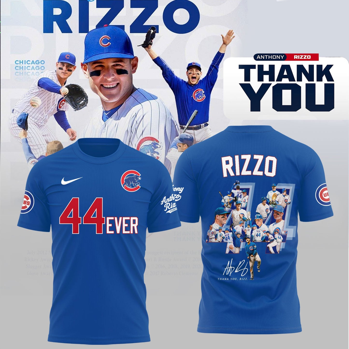 Chicago Cubs Legend Anthony Rizzo Thank You For Memories T-Shirt