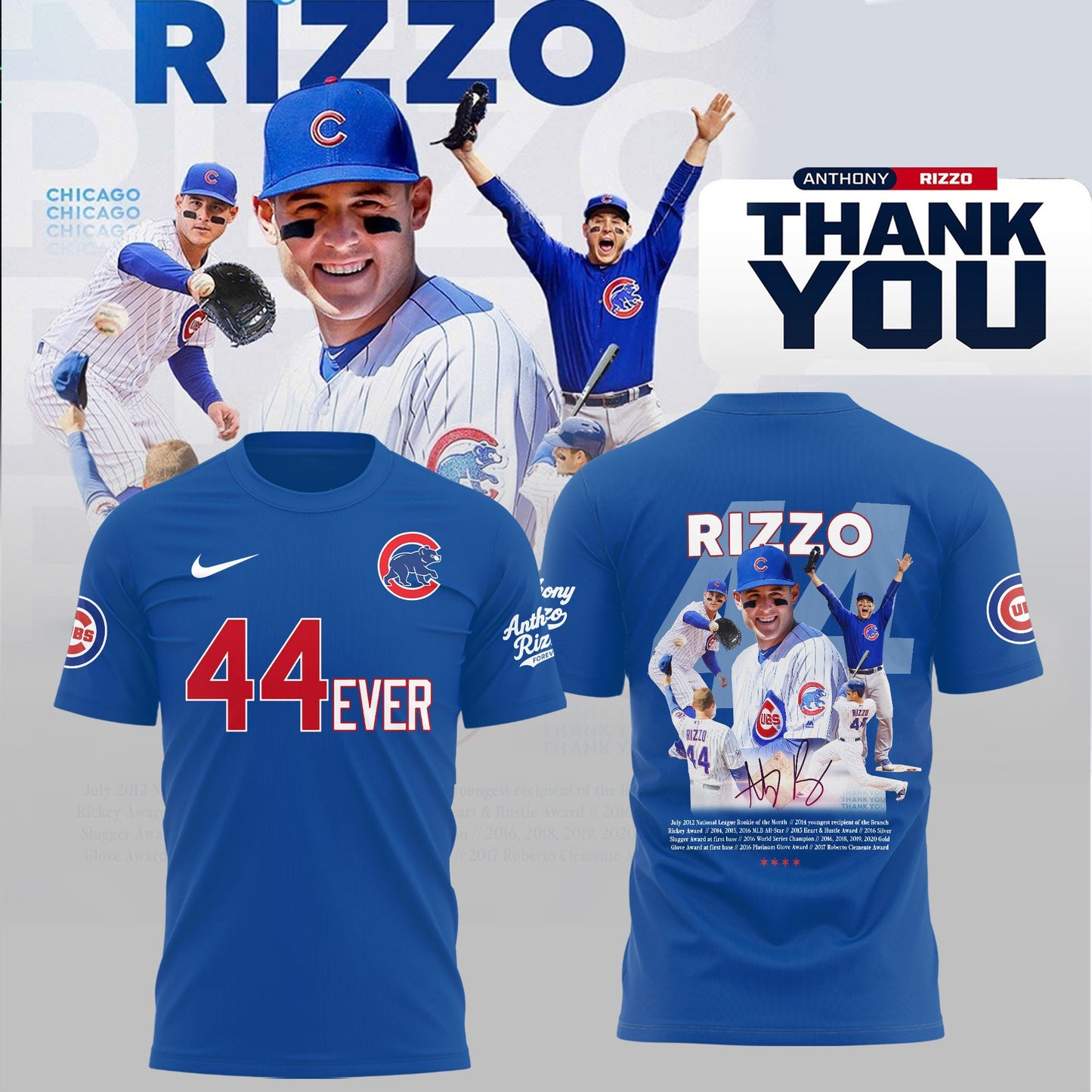 Chicago Cubs Legend Anthony Rizzo Thank You For Memories T-Shirt