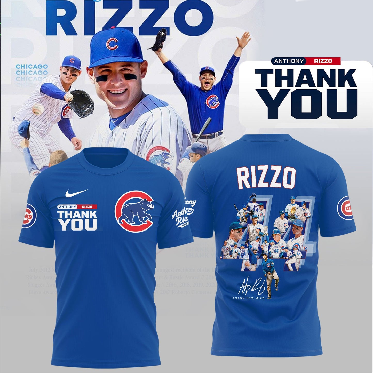 Chicago Cubs Legend Anthony Rizzo Thank You For Memories T-Shirt