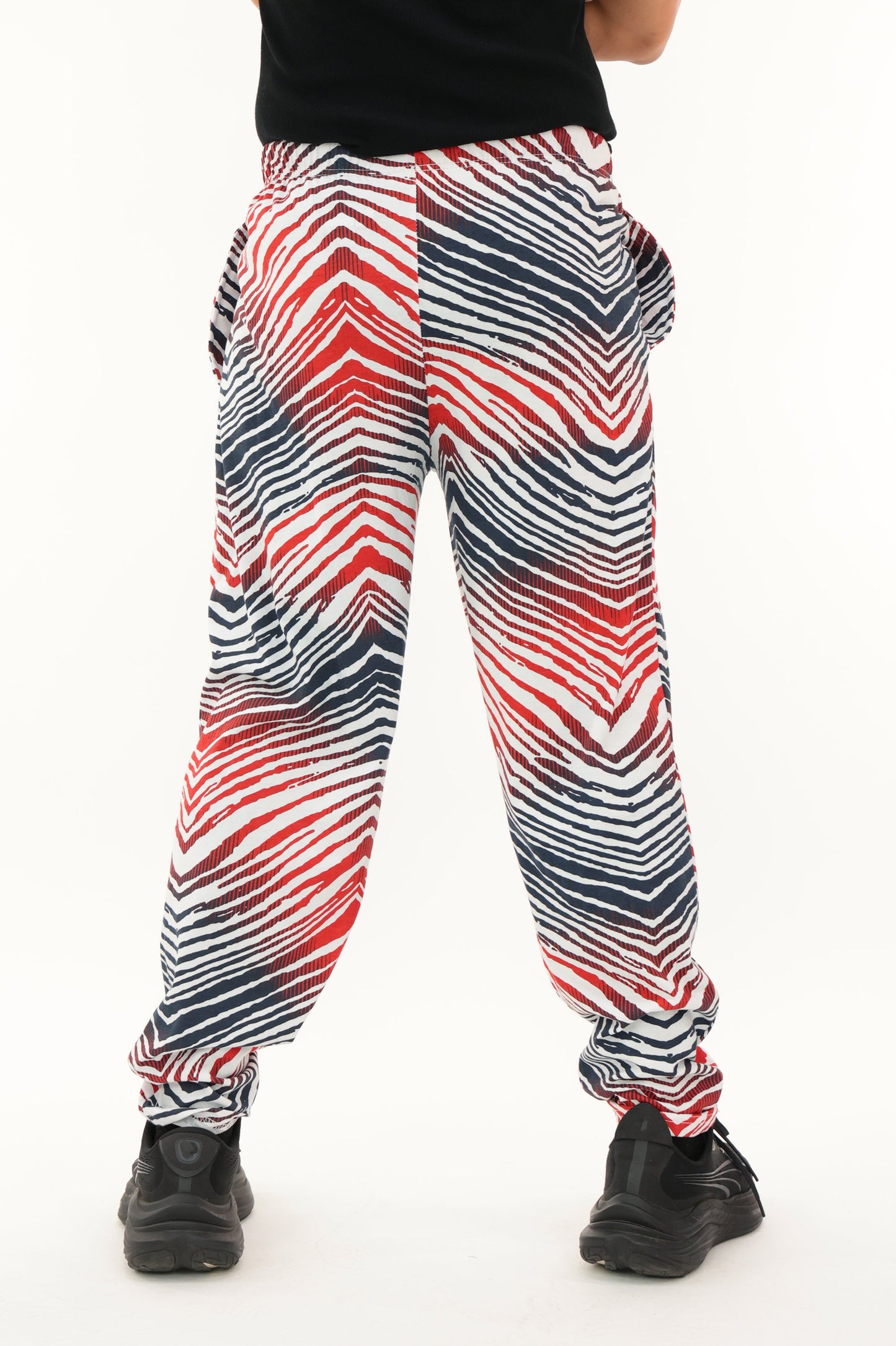 Zubaz NFL Adult Unisex Z88 Embroidered Zebra Ombre TMC Pants, Houston Texans