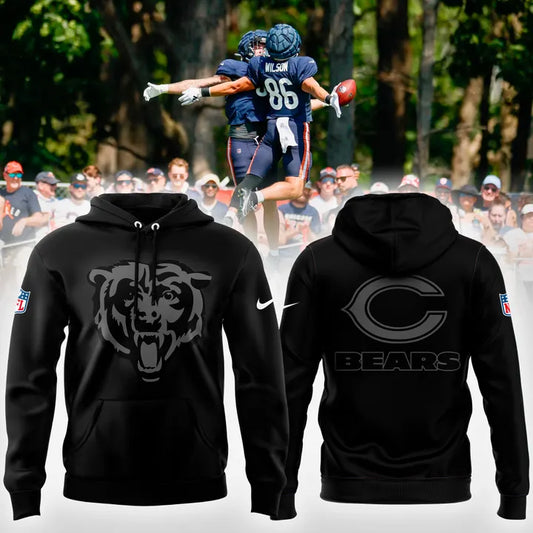 Chicago Bears NFL 2025 New Pullover Hoodie