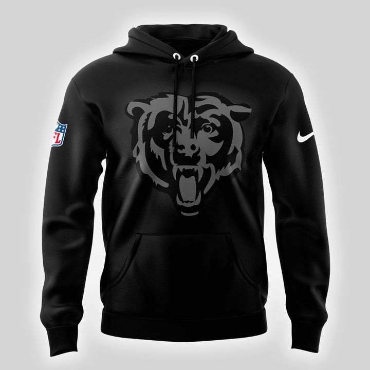 Chicago Bears NFL 2025 New Pullover Hoodie
