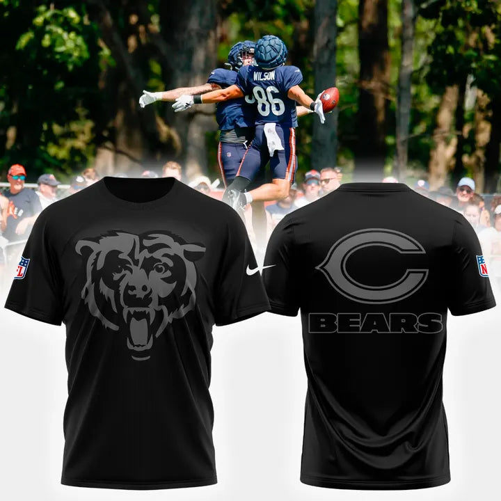 Chicago Bears NFL 2025 New T-Shirt