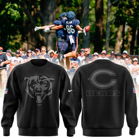 Chicago Bears NFL 2025 New Sweater Shirt